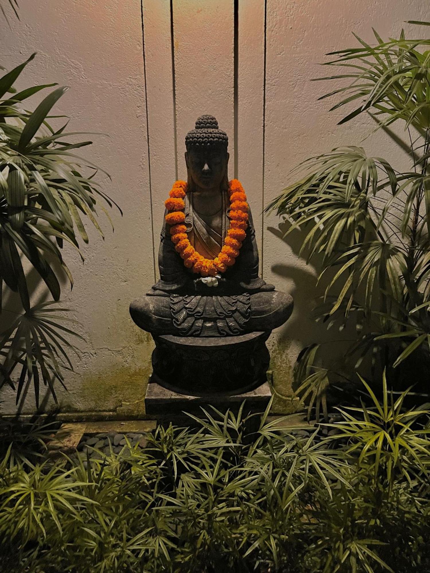 Shamballa Moon Ubud  Ngoại thất bức ảnh