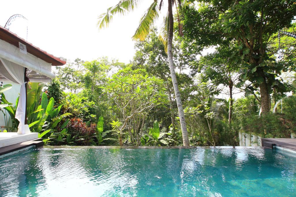 Shamballa Moon Ubud  Phòng bức ảnh